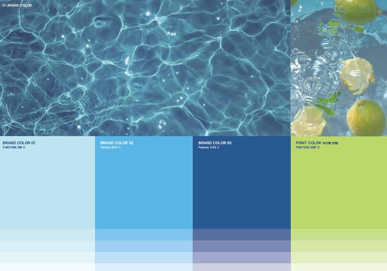 REATOLL brand color inspiration